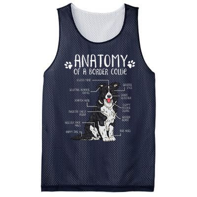 Funny Anatomy Border Collie Dog Lover Mesh Reversible Basketball Jersey Tank