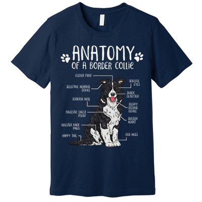 Funny Anatomy Border Collie Dog Lover Premium T-Shirt