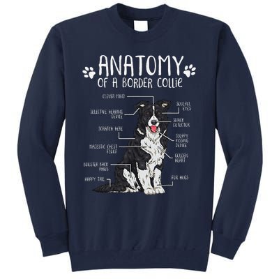 Funny Anatomy Border Collie Dog Lover Tall Sweatshirt