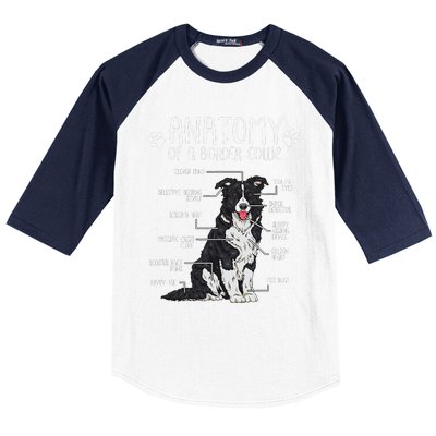 Funny Anatomy Border Collie Dog Lover Baseball Sleeve Shirt