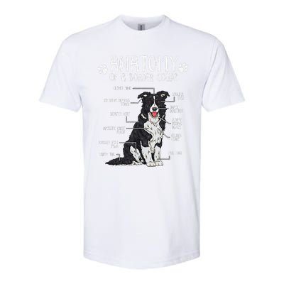 Funny Anatomy Border Collie Dog Lover Softstyle CVC T-Shirt