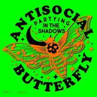 Funny Antisocial Butterfly Moth Partying In The Shadows Magnet
