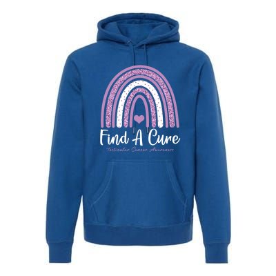 Find A Cure Testicular Cancer Awareness Day Rainbow Warrior Meaningful Gift Premium Hoodie