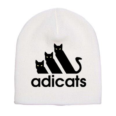 Funny Adicats Cute Cat Lover Pocket Cat Cat Mom Black Cat Short Acrylic Beanie