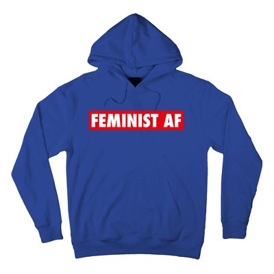 Feminist Af Cute Gift Hoodie