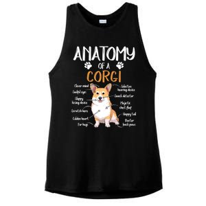 Funny Anatomy Corgi Dog Lover Gift Ladies PosiCharge Tri-Blend Wicking Tank