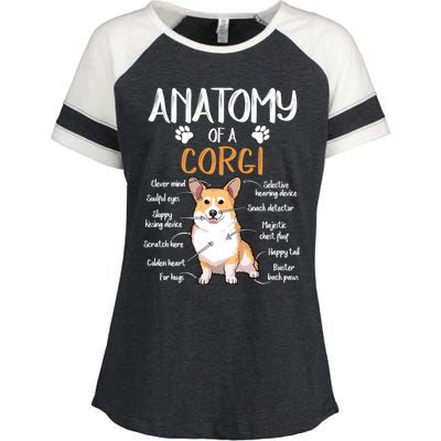 Funny Anatomy Corgi Dog Lover Gift Enza Ladies Jersey Colorblock Tee