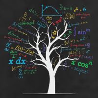 Funny Ap Calculus Algebra Tree Math Teacher Nerd Geek Trucker Hat