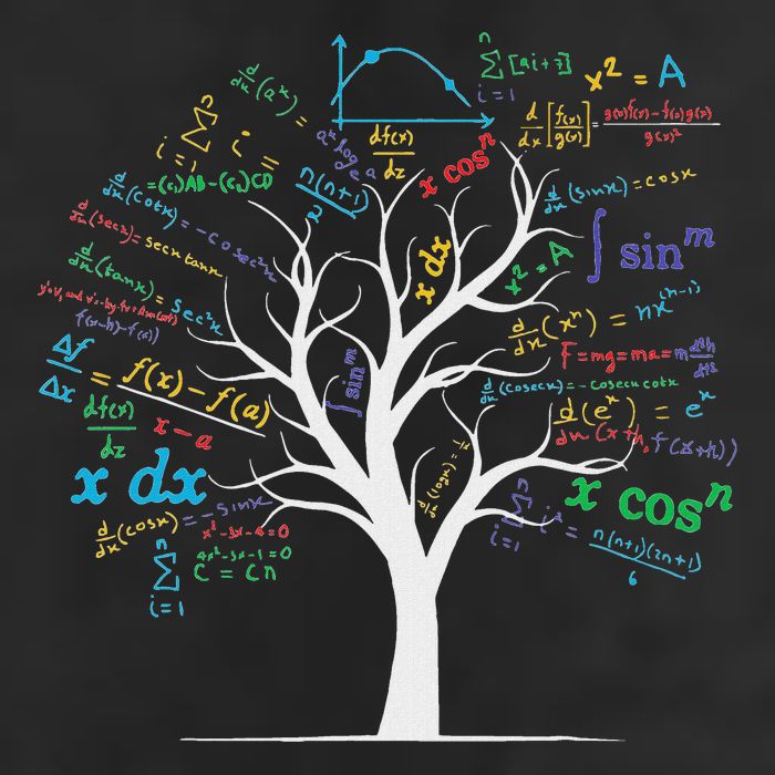 Funny Ap Calculus Algebra Tree Math Teacher Nerd Geek Trucker Hat