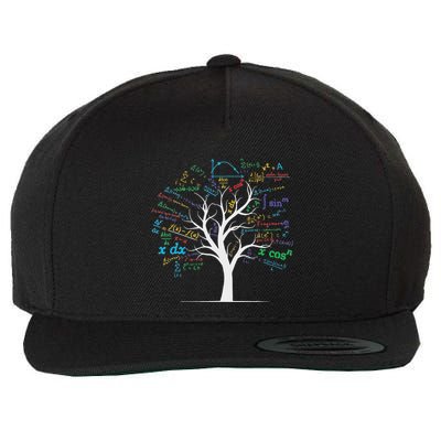 Funny Ap Calculus Algebra Tree Math Teacher Nerd Geek Wool Snapback Cap