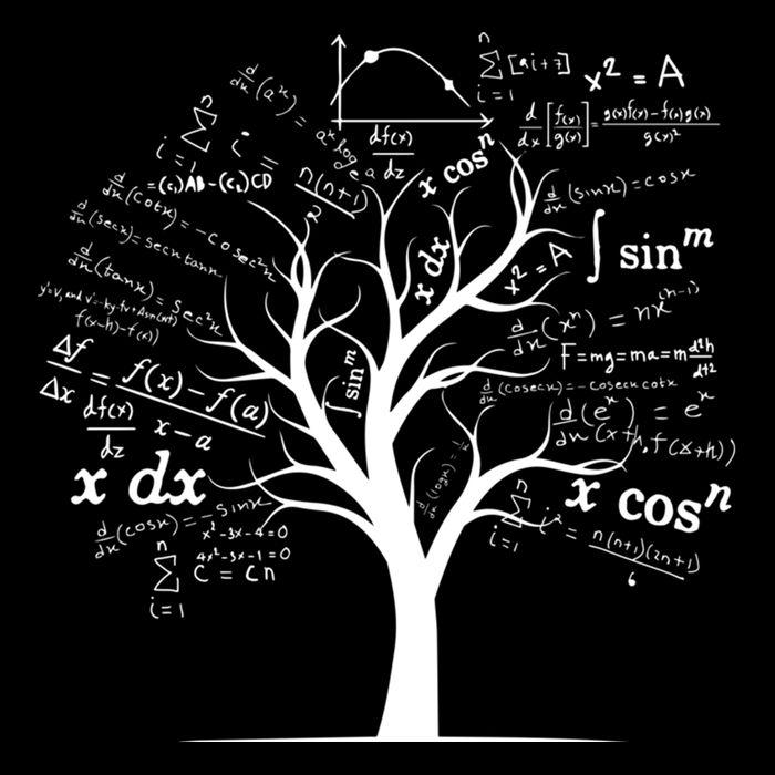Funny Ap Calculus Algebra Tree Math Teacher Nerd Geek Funny Gift Drawstring Bag