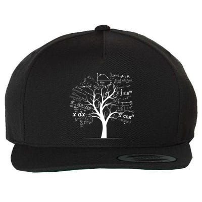 Funny Ap Calculus Algebra Tree Math Teacher Nerd Geek Funny Gift Wool Snapback Cap