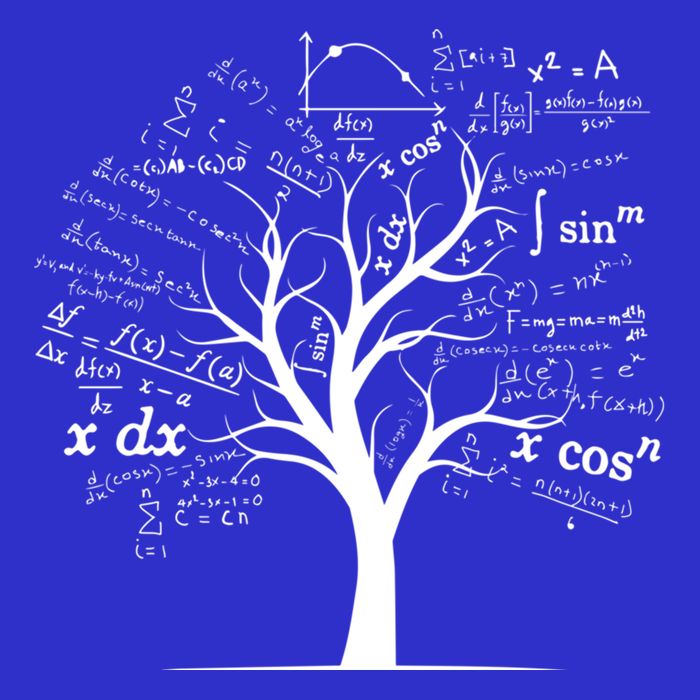 Funny Ap Calculus Algebra Tree Math Teacher Nerd Geek Funny Gift T-Shirt