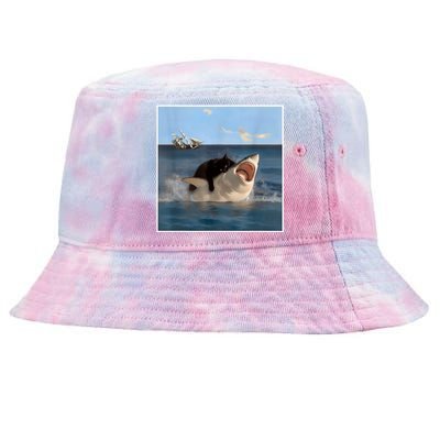 Funny Art & Cat Lover Quote Cat Biting Shark Cool Fat Cat Tie-Dyed Bucket Hat