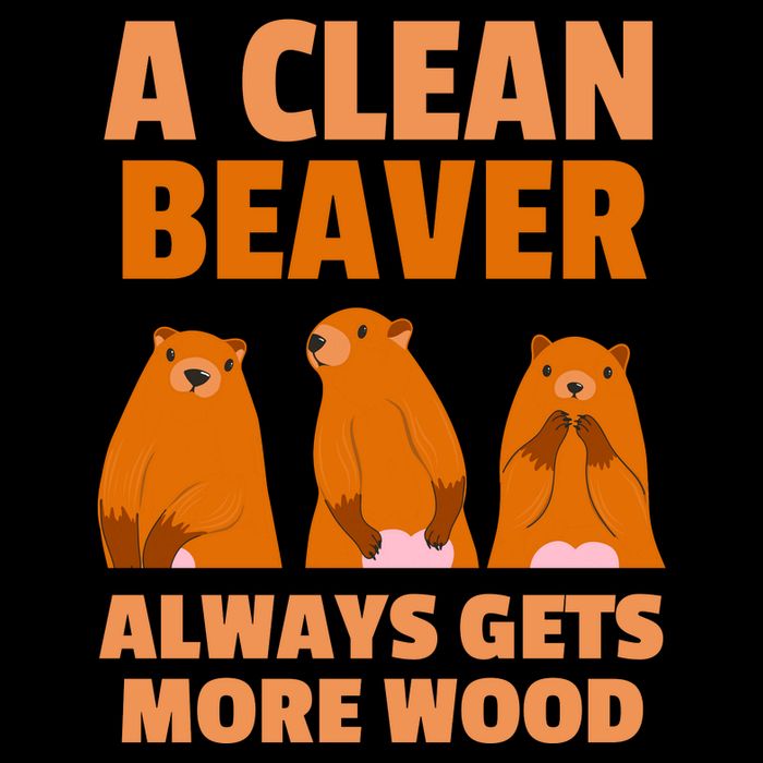 Funny A Clean Beaver Always Gets More Wood Joke Sarcastic Magnet