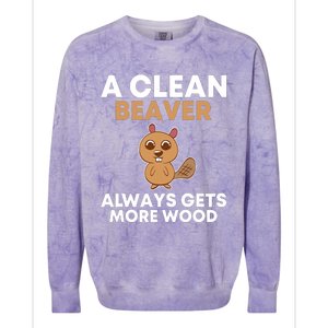 Funny A Clean Beaver Always Gets More Wood Joke Sarcastic Colorblast Crewneck Sweatshirt