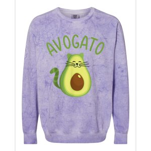 Funny Avogato Cat For Avocado Lover And Cinco De Mayo Colorblast Crewneck Sweatshirt