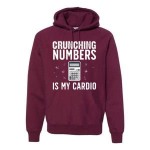 Funny Accounting Design For Men Women Accountant CPA Analyst Premium Hoodie