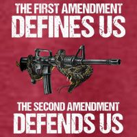 First Amendment Defines Us The Second Amendment Defends Us T-Shirt