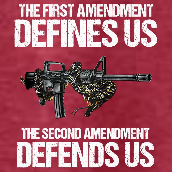 First Amendment Defines Us The Second Amendment Defends Us T-Shirt