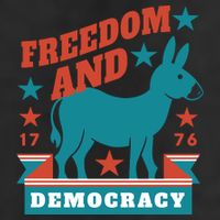 Freedom And Democracy Political Democrat 7 Panel Mesh Trucker Snapback Hat