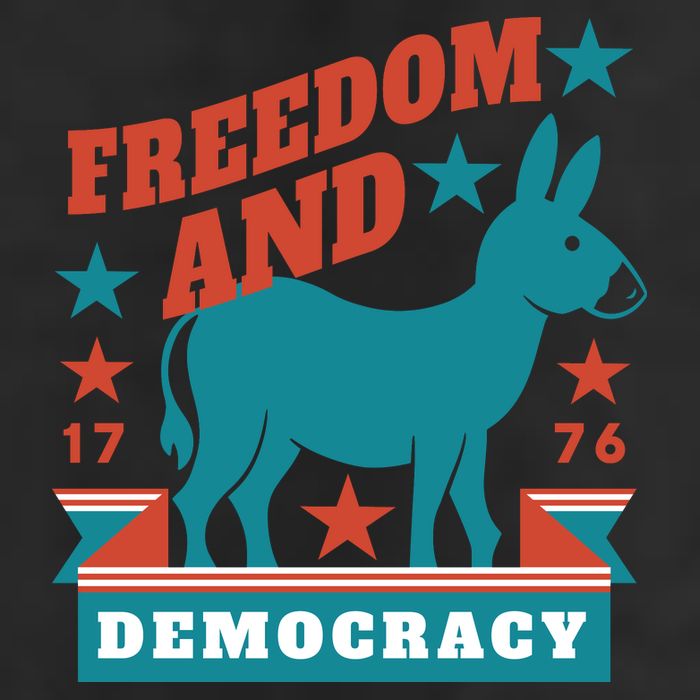 Freedom And Democracy Political Democrat 7 Panel Mesh Trucker Snapback Hat