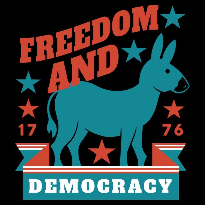 Freedom And Democracy Political Democrat 16 in Basic Backpack