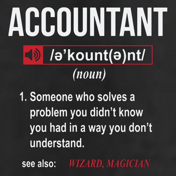 Funny Accountant Definition See Also Wizard Garment-Dyed Fleece Hoodie