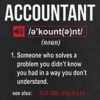 Funny Accountant Definition See Also Wizard Trucker Hat