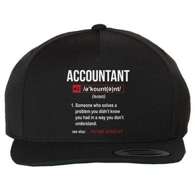 Funny Accountant Definition See Also Wizard Wool Snapback Cap