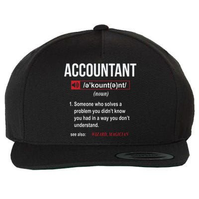 Funny Accountant Definition See Also Wizard Wool Snapback Cap