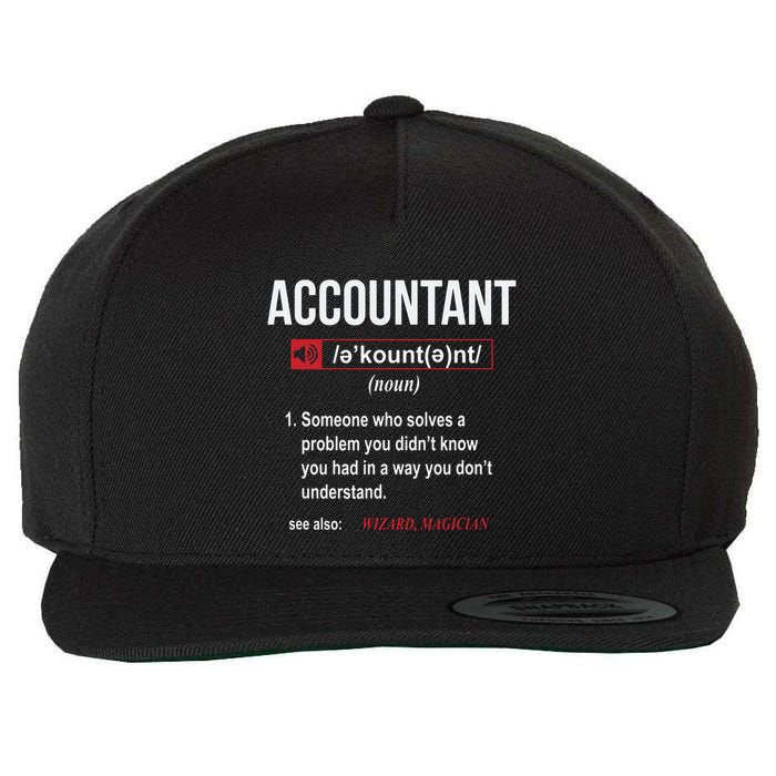Funny Accountant Definition See Also Wizard Wool Snapback Cap