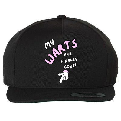 Funny And Embarrassing Gag Wool Snapback Cap