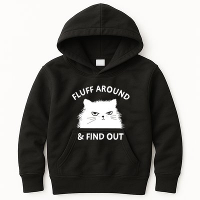 Fluff Around Funny Sarcastic Cat Lady Quote Humor Gift Kids Hoodie
