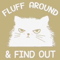 Fluff Around Find Out Funny Cat Sarcasm Grumpy Kitty Gifts T-Shirt