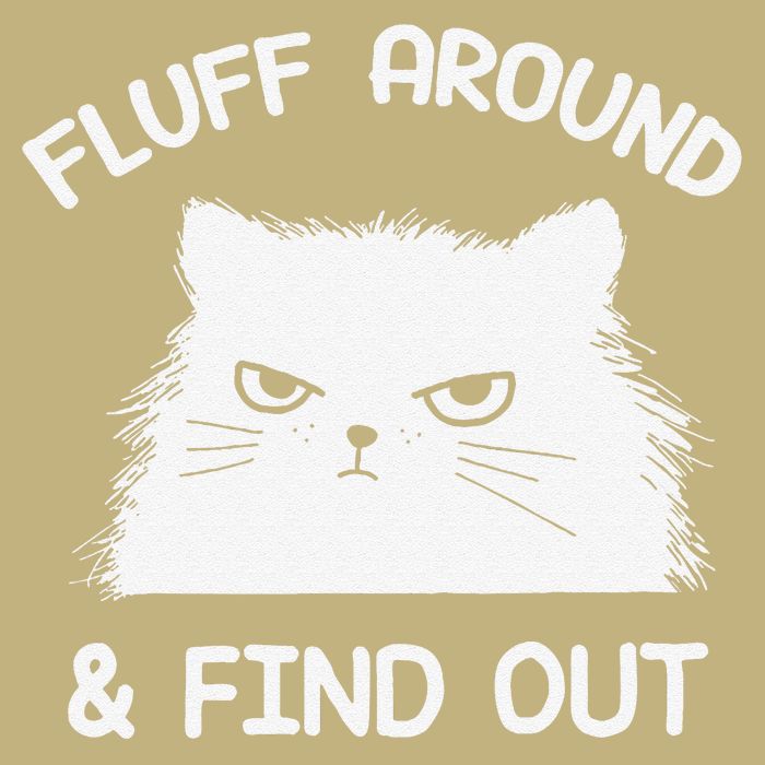 Fluff Around Find Out Funny Cat Sarcasm Grumpy Kitty Gifts T-Shirt