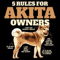 Funny Akita For Women Men Akita Owner Gifts Women's V-Neck T-Shirt