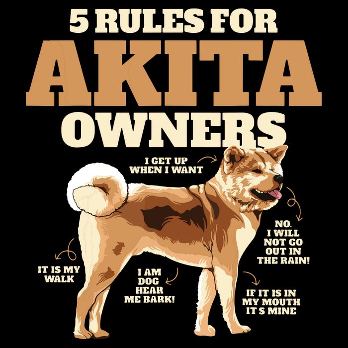 Funny Akita For Women Men Akita Owner Gifts Women's V-Neck T-Shirt