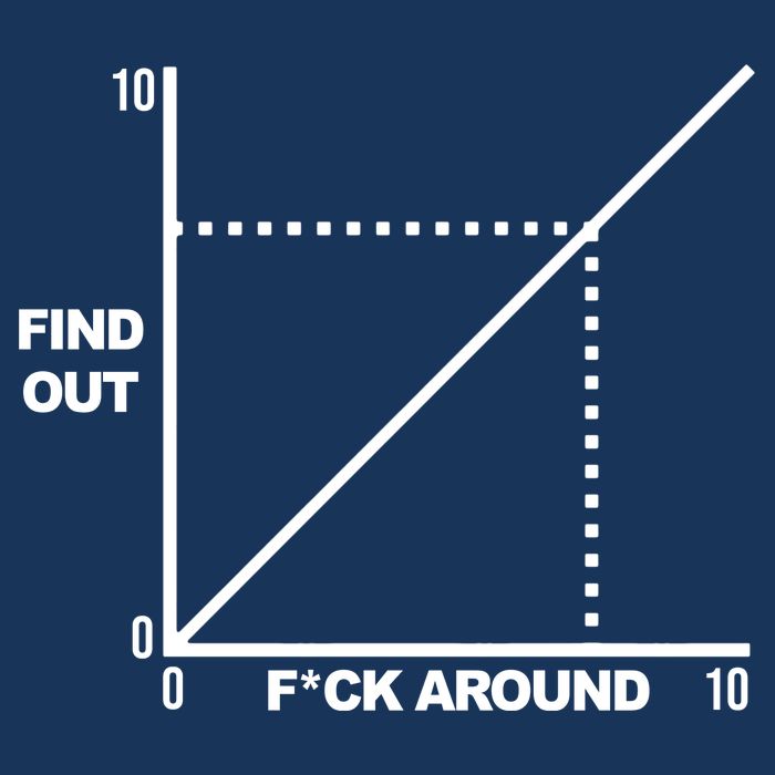 F Around Find Out Hoodie