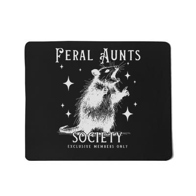 Funny Auntie Feral Aunts Build Character Raccoon Lover Mousepad