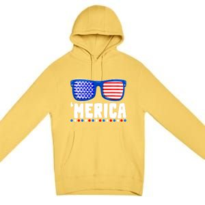 Funny American Flag Fourth 4th Of July Family Funny Gift Premium Pullover Hoodie