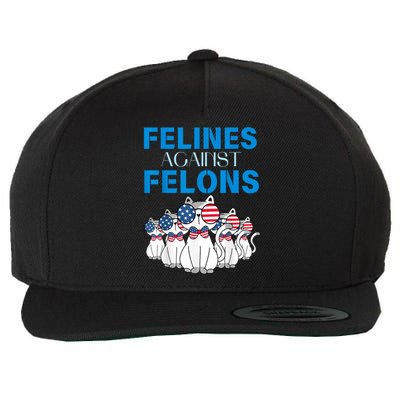 Felines Against Felons Funny Donald Trump 2024 Cat Gift Wool Snapback Cap