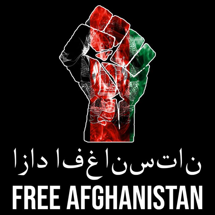 Free Afghanistan Fist Arabic Writing Premium T-Shirt