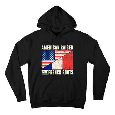 Flag American French Roots French American Funny Hoodie