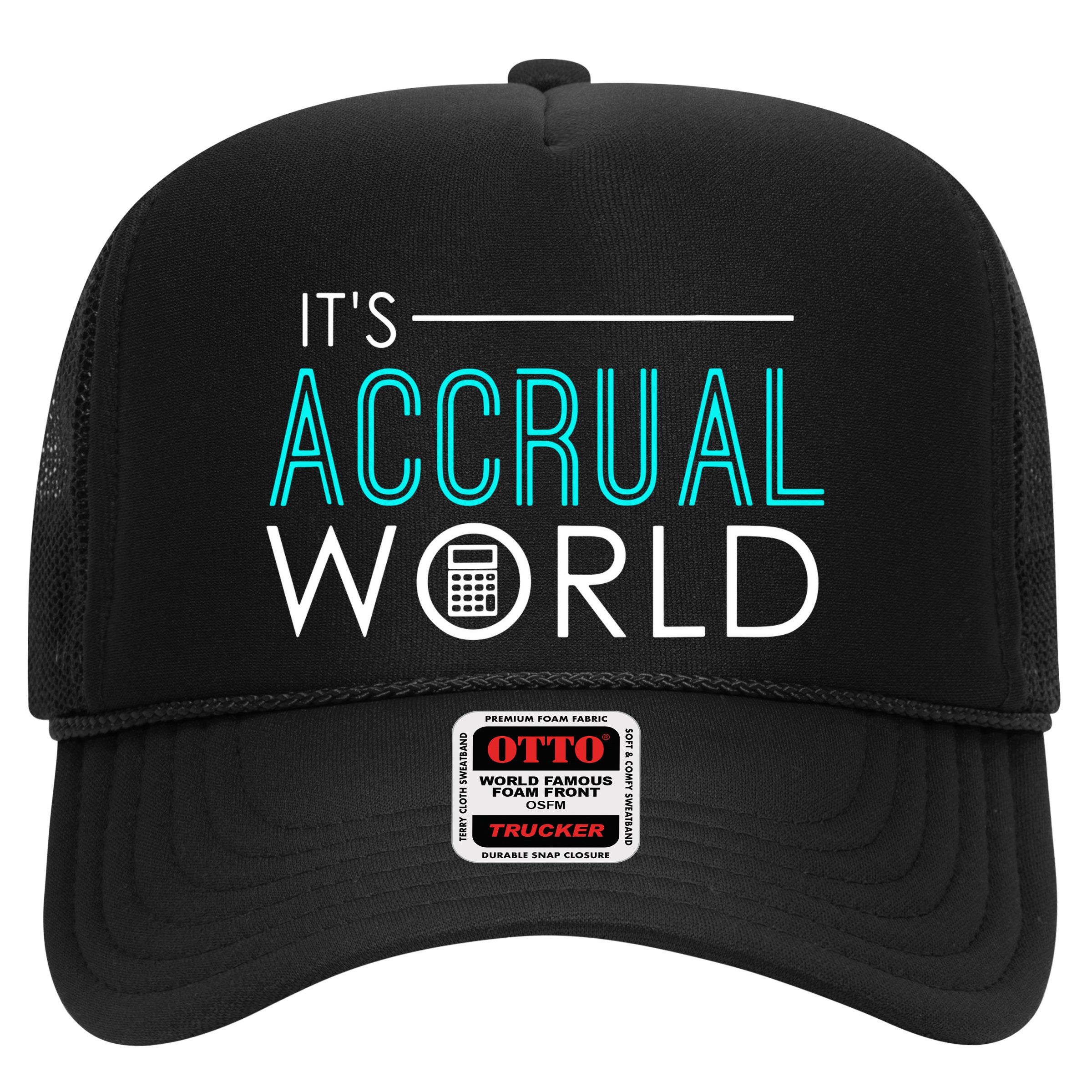 Funny Accounting Hat