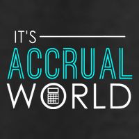 Funny Accounting Hat
