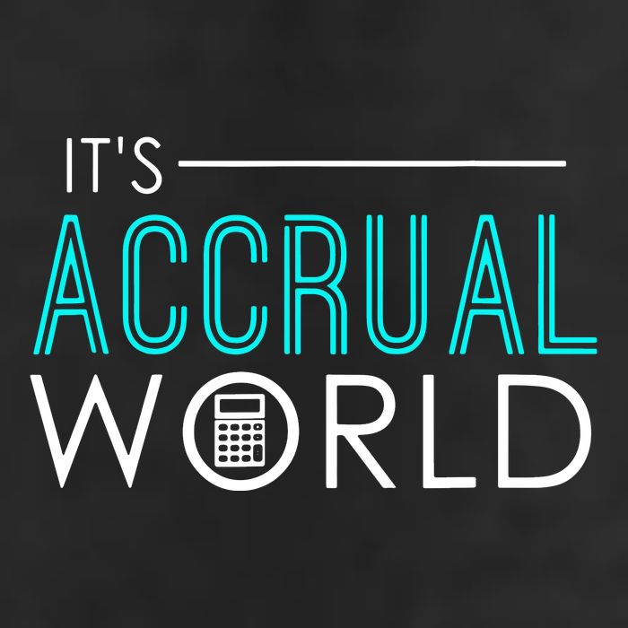 Funny Accounting Hat