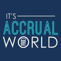 Funny Accounting Apron