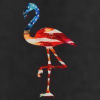 Flamingo American Flag Vintage American Flamingo Beanie