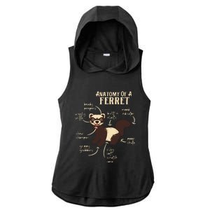 Ferret Anatomy Funny Animal Lover Polecat Paw Pet Owner Gift Ladies PosiCharge Tri-Blend Wicking Draft Hoodie Tank